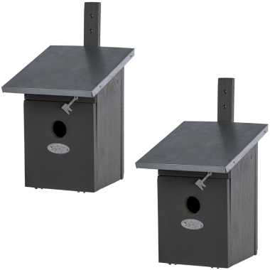 2x vogelhuisjes/vogelhuisjes koolmees 33 cm